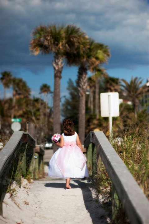 Affordable & Intimate Wedding on the Beach | missfrugalfancypants.com