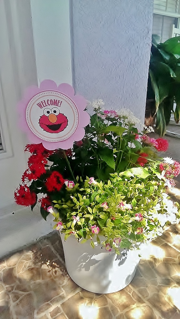 Pink & Red Elmo Birthday Party Decor with Flower Signs| missfrugalfancypants.com