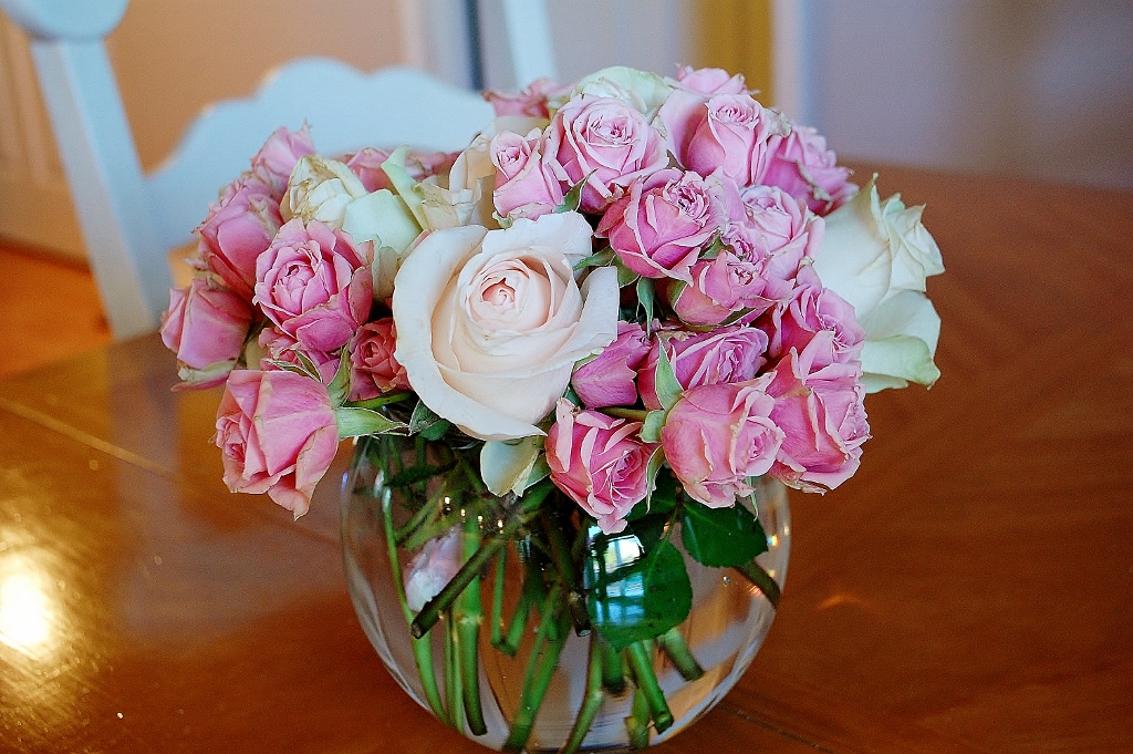 Pink Roses | missfrugalfancypants.com