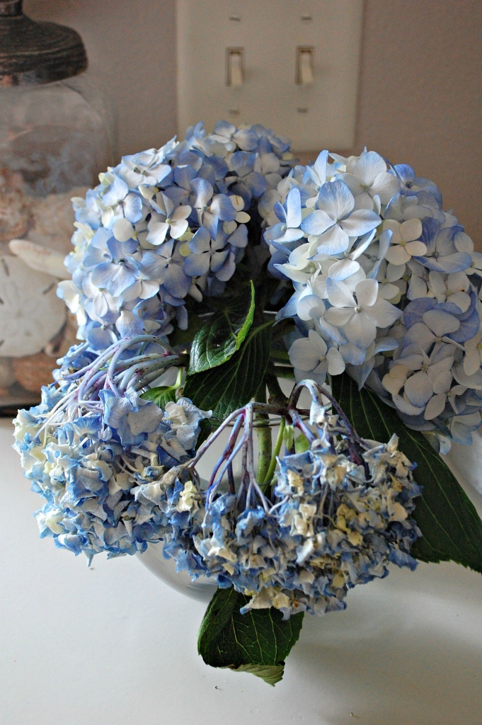 Double the Life of Your Cut Hydrangeas | missfrugalfancypants.com