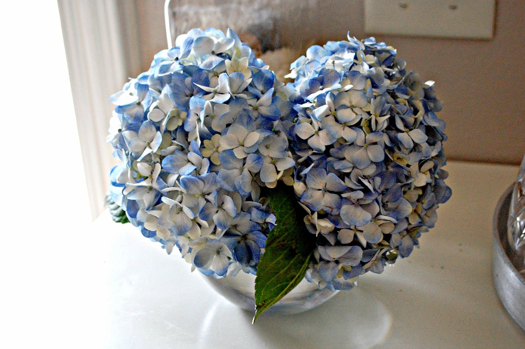 Double the Life of Your Cut Hydrangeas | missfrugalfancypants.com