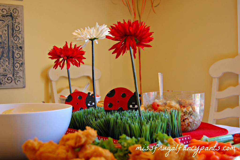 Outdoor Ladybug Garden Party Centerpiece Decor | missfrugalfancypants.com