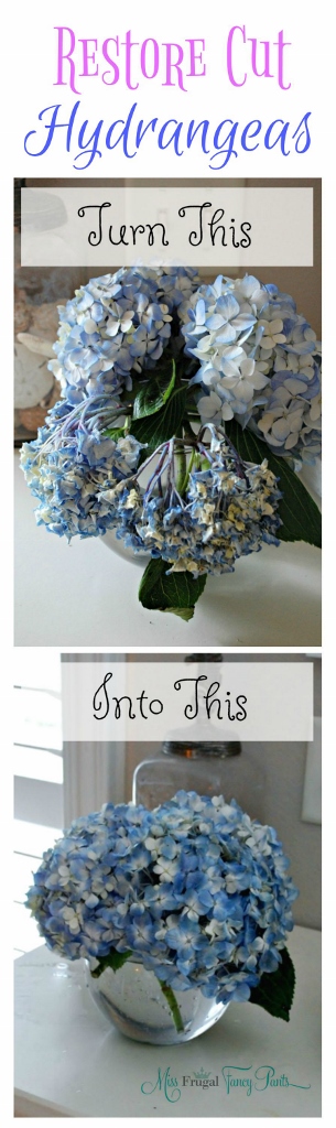 Double the Life of Your Cut Hydrangeas | missfrugalfancypants.com