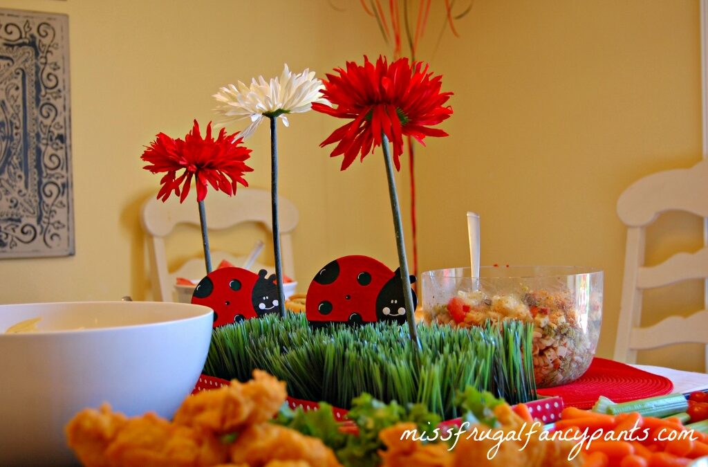 Ladybug Birthday Party